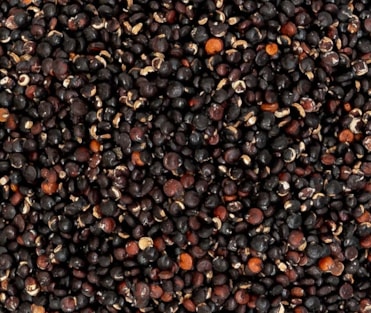 Benefícios das Sementes Naturais: Pequenos Superalimentos para uma Grande Saúde